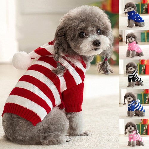 Cat dog pet - dog,