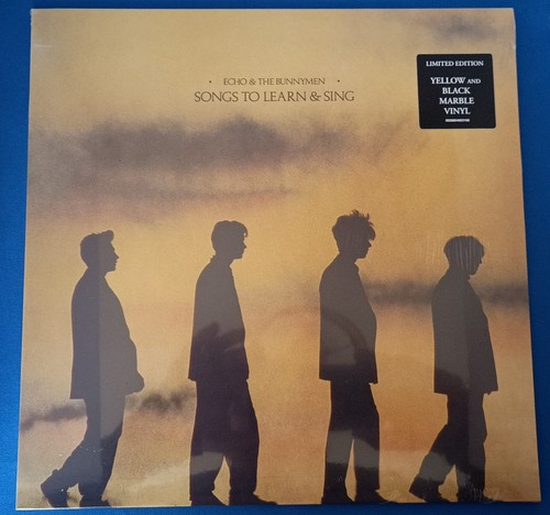 Echo the bunnymen - &, songs