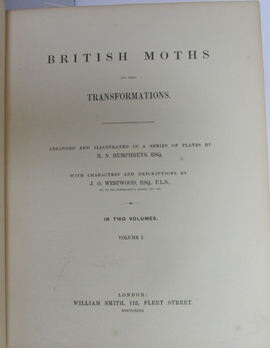 British moths their - moths,