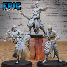 Martial Arts Monk 3D Print D&D