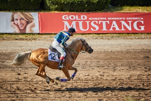 Ten plus horse racing system - ten,