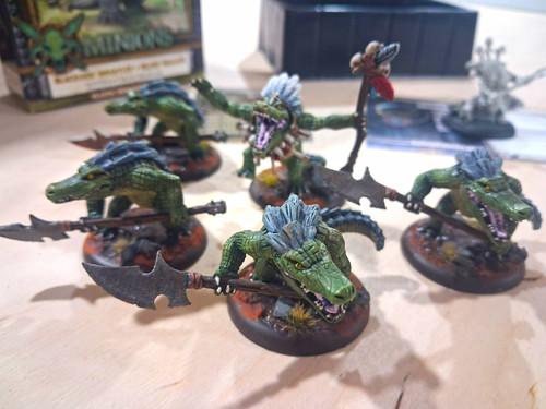 Privateer press warmachine - privateer,