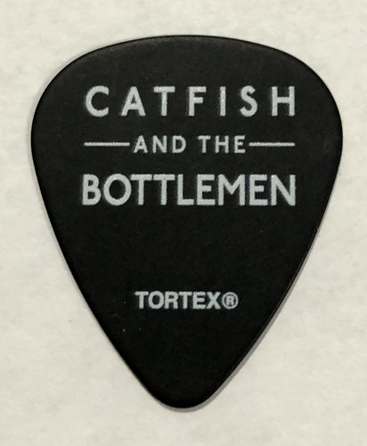 Catfish and the bottlemen - catfish,