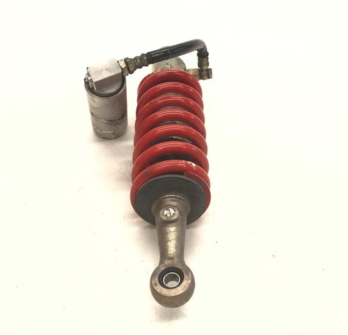 Shock absorber triumph speed - shock,
