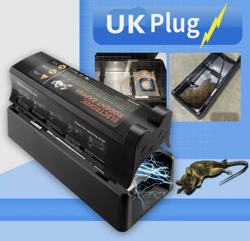 Electronic rat mouse - rat,