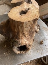 Hollow Log,decorative