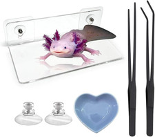 4 Pcs Axolotl Tank
