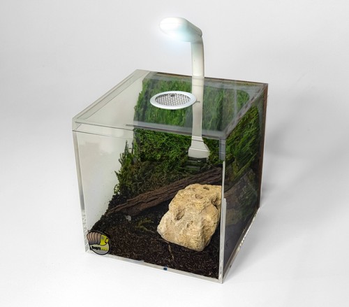 Vented acrylic vivarium - acrylic,