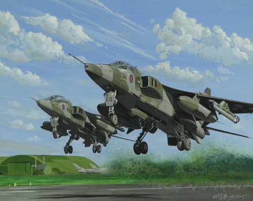Sepecat jaguar squadron sqn - sepecat,