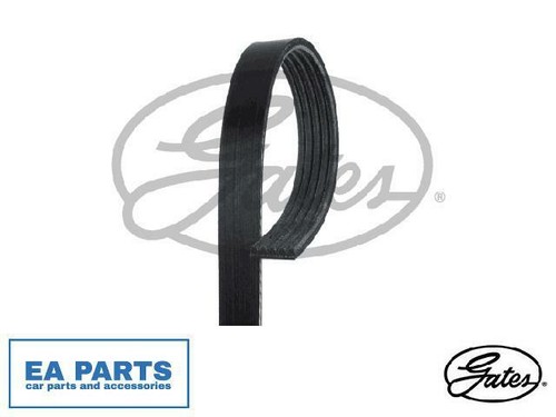Ribbed belts for rover 800 - rover,