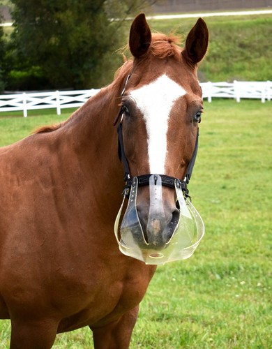 Thinline horse grazing muzzle - thinline,