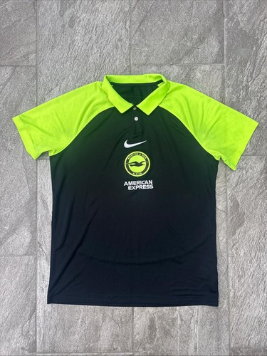 Brighton and hove albion - brighton,