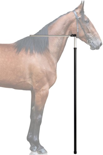 Kunbeien horse measuring - kunbeien,