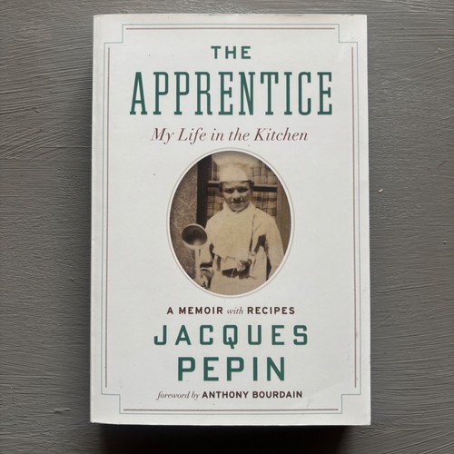 The apprentice life - life,