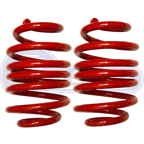 Prosport rear lowering springs - prosport,