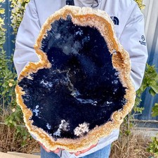 5.19LB Large Natural Petrified