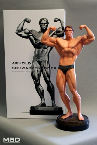 Arnold schwarzenegger - arnold,