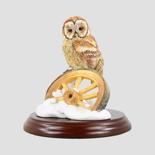 Tawny owl wheel - wheel, border