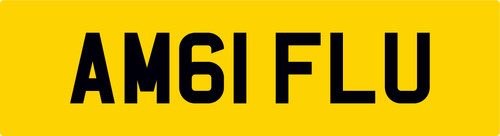Amg fly 2011 - 2011, plate