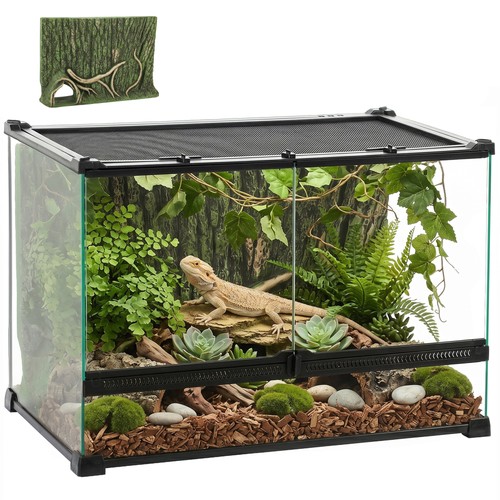 Glass terrarium with stone - terrarium,