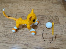 Zoomer Orange Tabby Cat
