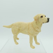 Leonardo Collection Golden