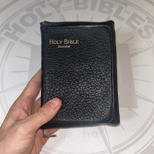 Holy bible illustrated - bible, king