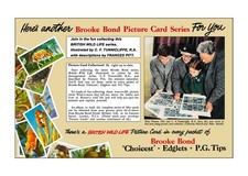 Brooke bond advert - advert., 'adobe