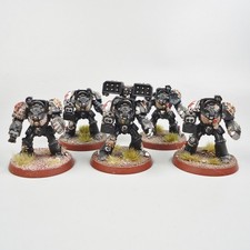 Black Templars Terminators x5