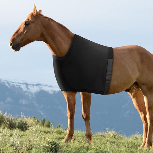 Horse shoulder guard stretch - shoulder,
