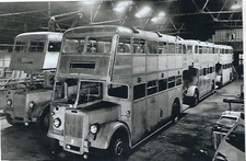Bus Photo: CCS403 Western SMT
