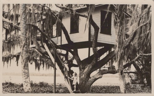 Vintage tree cabin myakka - vintage,