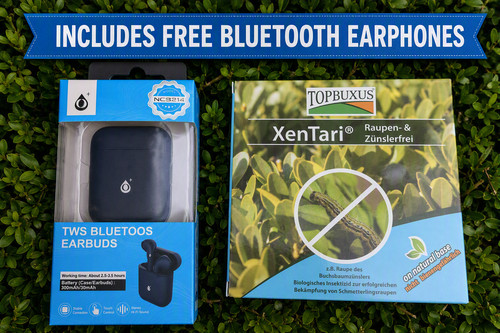 Topbuxus xentari box hedge - topbuxus,
