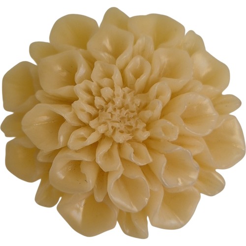 Vintage floral cream - cream, possibly
