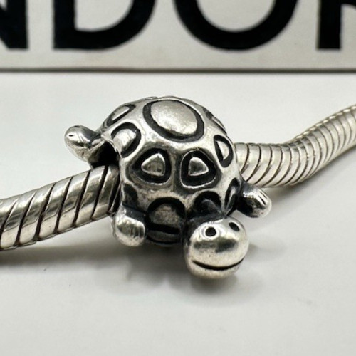 Pandora turtle animal - turtle,