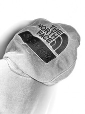 Supreme X  The North Face Pigment Hoodie Grey