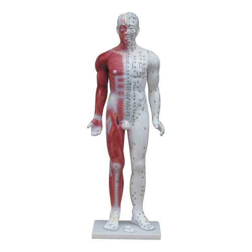66fit deluxe acupuncture - 66fit™,