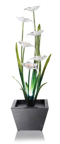 Narcissi garden flower steel - garden,
