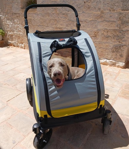Foldable large dog pet - xx-large,