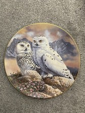 Fine Bone China Decorative Plate Royal Doulton Snowy Owls PN60 Xmas Gift