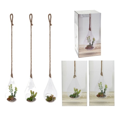 Hanging plants terrarium glass - hanging,