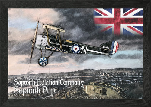 Sopwith pup framed - pup, wall