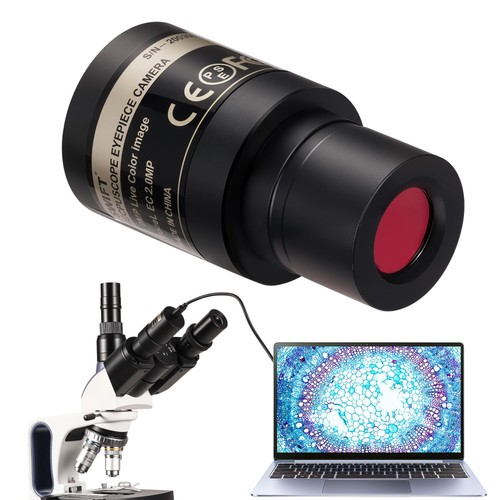 Swift ep2m 1080p digital - swift,