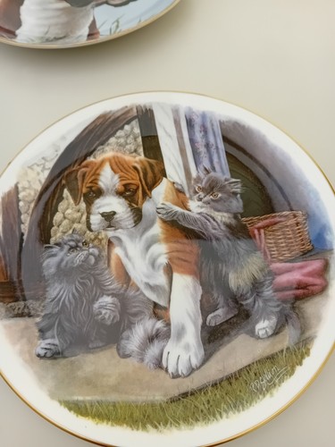 Playful friends royal albert - friends,