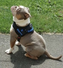 PERSONALISED any name