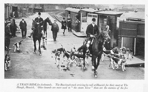 Hawick buccleuch pack arrive - pack,