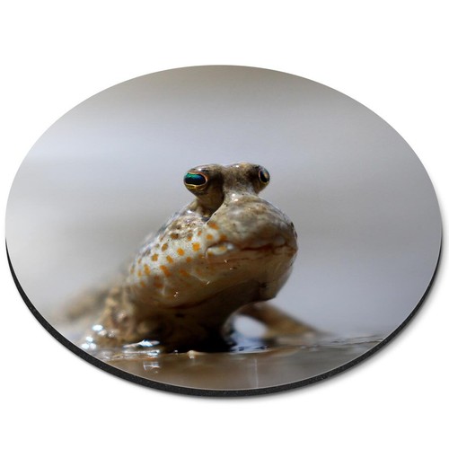 Round mouse mat - mouse,