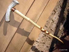 Dogwood spiral cane/walking