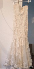 Benjamin Roberts Ivory Lace