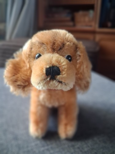 Golden cocker spaniel steiff - cocker,